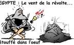 DESSIN DE PRESSE: Le printemps arabe est loin